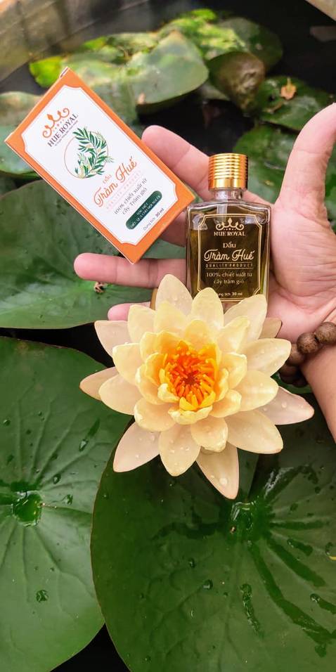 Sản phẩm phù hợp với giá tiền
Ké tí : Tinh dầu Tràm Trà nguyên chất Huế Royal chiết xuất từ lá tràm trà, 100% thiên nhiên. Dùng để xông nhà thơm, chống ẩm mốc. Phòng ngừa ho, cảm, các bệnh ngoài da cho trẻ nhỏ, kháng khuẩn, trị các bệnh ngoài da. Nhiều công dụng khác nhau. 100% từ thiên nhiên. Không hóa chất bảo quản.Bán trực tiếp: ***