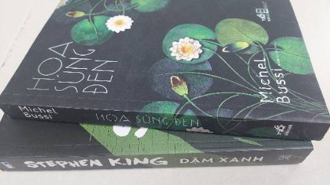 Một tác phẩm pha trộn giữa tinh thám cổ điển và văn học lãng mạn. “ Hoa súng đen “ là một bức tranh siêu thực về án mạng ở làng quê nước Pháp, nơi mà tình yêu là khởi nguồn của bi kịch. Bằng một phong cách viết độc đáo, Bussi đã thực sự khiến người đọc ngạc nhiên.