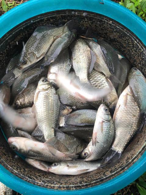 Chất lượng sản phẩm tốt, đóng gói rất kỹ giao hàng nhanh , shop bán hàng có tâm tư vấn nhiệt tình shipper nhiệt tình nên mua sản phẩm