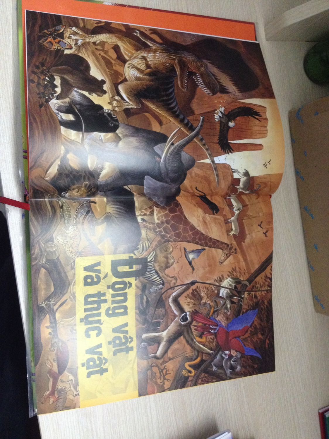 Bách khoa thư thế hệ mới là một quyển sách đáng mua , đáng đọc bởi lẽ nguồn thông tin kiến thức mà sách cập nhật đến rất cụ thể ,phong phú và sinh động về thế giới quanh ta về tri thức về khoa học ...tất cả đều gói gọn trong sách này . sách giúp độc giả am hiểu và mở rộng vốn kiến thức về thế giới hơn. Qua những trang sách được đầu tư công phu về chất lượng hình ảnh 3D , được in trên trang giấy bóng , ngoài ra sách còn rất thơm và chắc tay . Sách thuộc dạng bìa cứng nên rất dễ bảo quản và khá thuận tiện trong việc giữ gìn. có lẽ vì thiết kế theo khuôn khổ bìa cứng và giấy khá to nên rất hạn chế trong việc cầm trên tay khi đọc  với thời gian lâu dài , dễ gây ra cảm giác mỏi , chỉ có thể ngồi tư thế đọc trên ghế hoặc đặt sách trên giường nằm đọc mà thôi . nhưng với tí khuyết điểm nhỏ này vẫn không đáng kể gì so với ưu điểm của sách đem lại nên mình quyết định cho 5 sao về sản phẩm này cũng như rất hài lòng với cách thức đóng gói vận chuyển của tiki , rất thuận tiện , nhanh chóng và gọn gàng . mong tiki có thể phát triển hơn nữa .