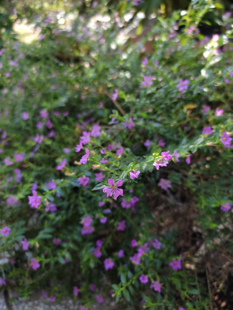 chất lượng tốt, giá rẻ chất lượng tốt, giá rẻ