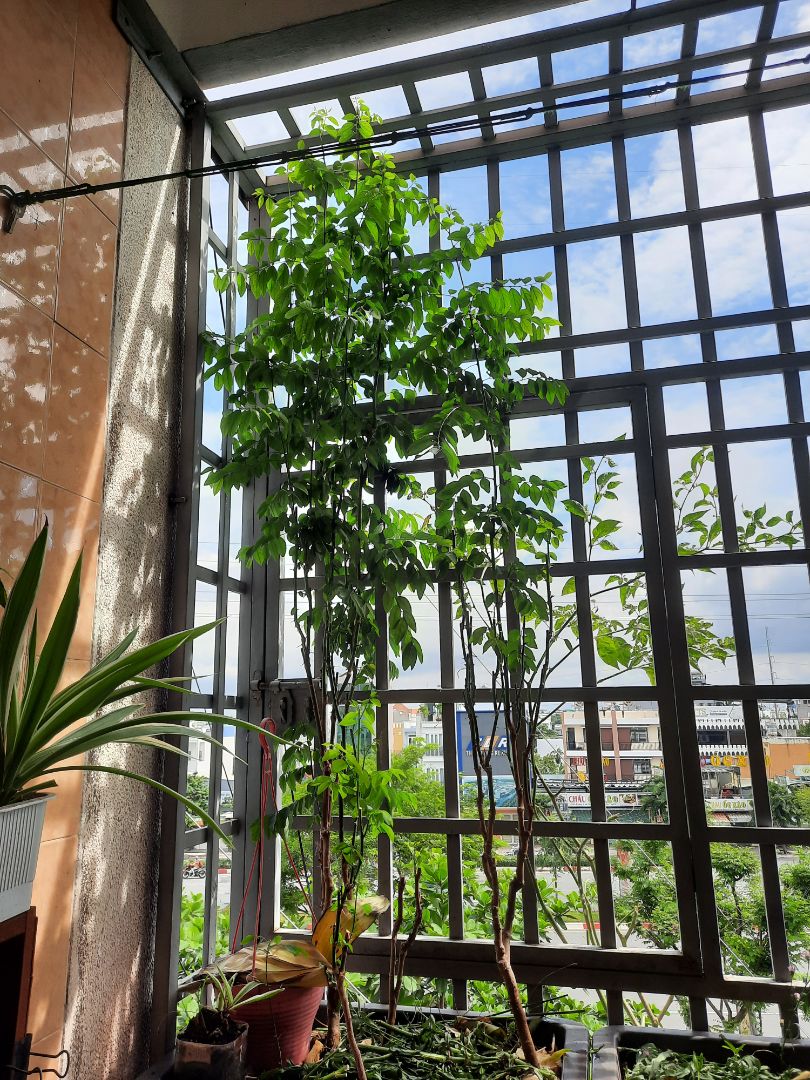 xịn sò rồi ná. xài rất là thích. lần sau mua tiếp. date còn xa lắm nhé. nên mua. giao nhanh gọn