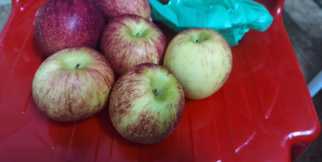 Giao hàng ko phải táo envy (ko có nhãn + vị chua lè). Treo đầu dê bán thịt *** vậy shop