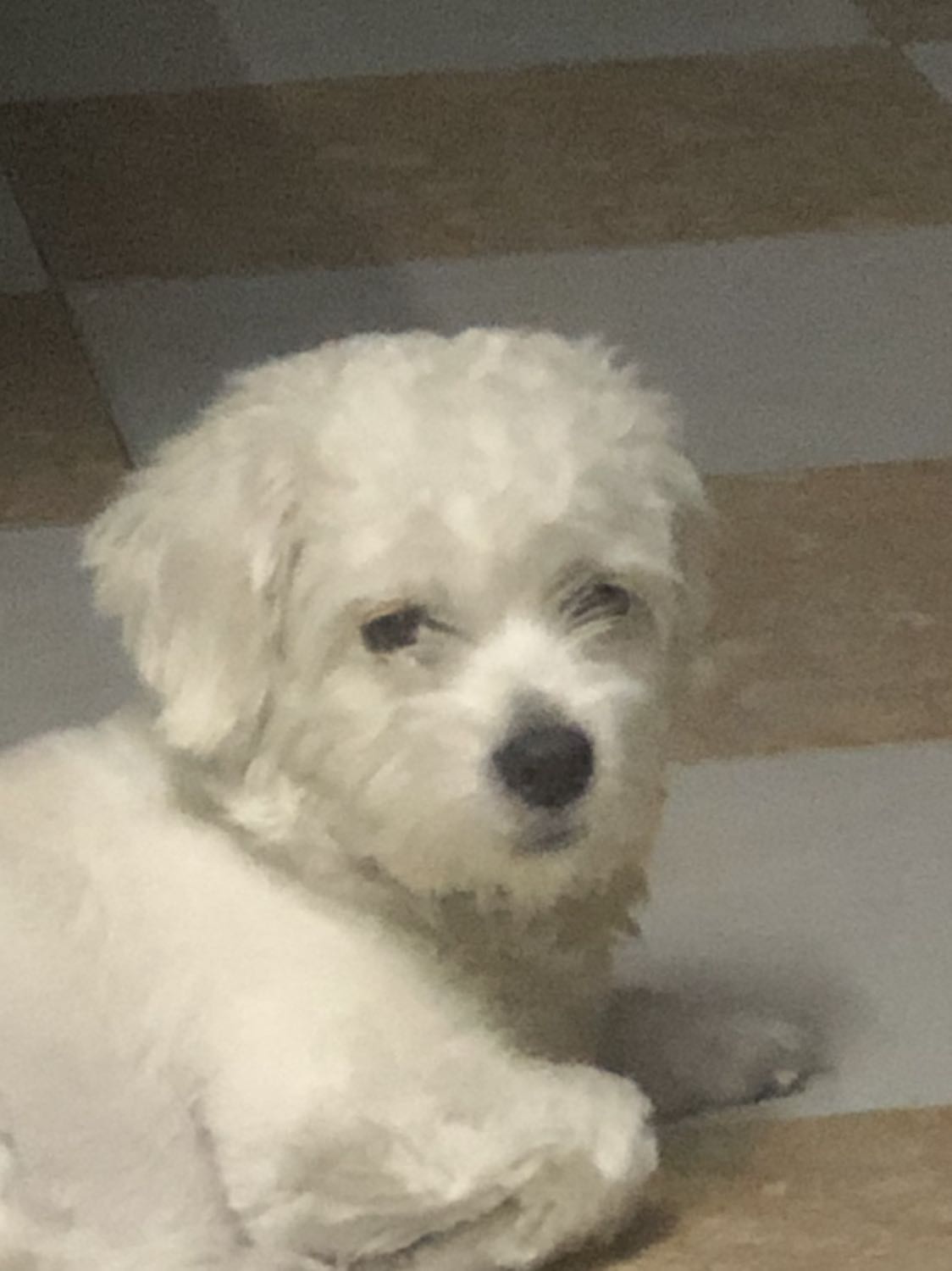 Sách giao đúng, trong tình trạng tốt