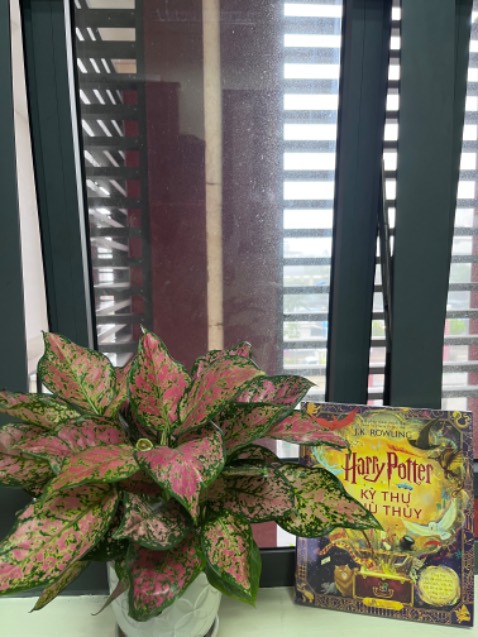 Đẹp quá luôn ạ. Ai là cạ cứng HP chắc phải đặt ngay và liên thôi!!