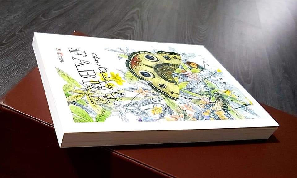 sách đẹp, được bọc cẩn thận. Giá yêu thương. Dịch vụ Tiki thân thiện. thanks!