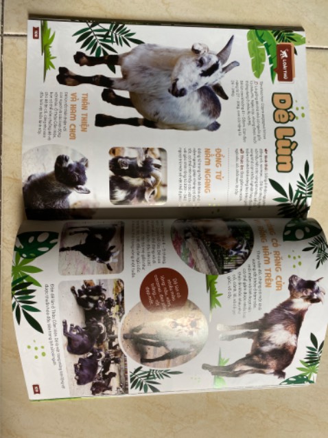 Sách ảnh đẹp, nhiều thông tin cơ bản hữu ích về các loài động thực vật hiện hữu tại Thảo Cầm Viên. Ngoài ra còn có sơ lược về lịch sử hình thành và phát triển của TCV
Sách được đóng gói kĩ