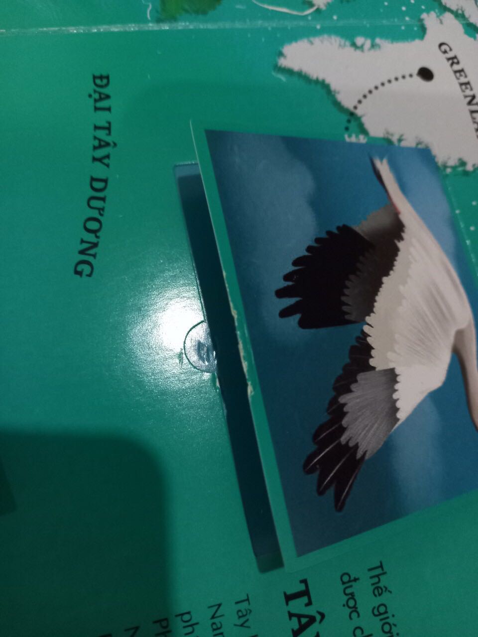 Sách bị hư hại, cũ. Gần như bung gáy từng trang. Lỗi trên trang, phần lật mở rách, trầy. Cần đổi trả lại.