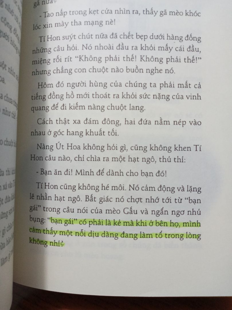 sách có nội dung nhẹ nhàng,kể về tình yêu của mèo Gấu lúc nào cũng nghĩ về nàng mèo Áo Hoa.bên cạnh đó cx kể về tình yêu của chuột Tí Hon với chuột Út Hoa.. sách cũng có những câu nói khá tâm đắc..