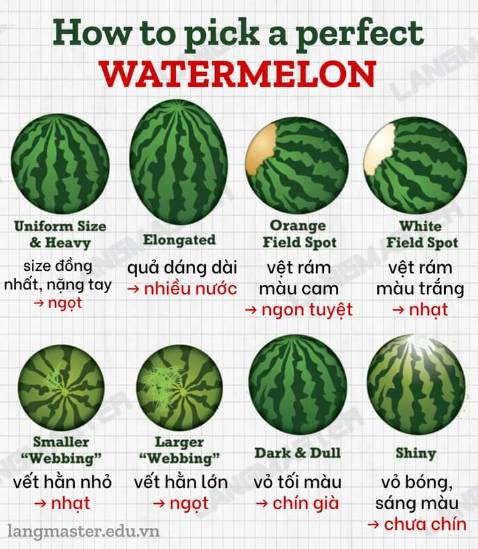 Bé trai 9 tuổi rất thích, nội dung hài hước.