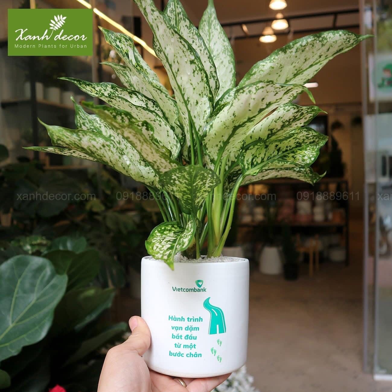 Sách đẹp, in rõ chữ, shop phục vụ rất tận tình
Sẽ ủng hộ shop lần sau