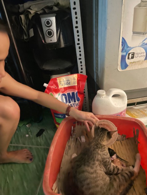 Mùi thơm dẽ chịu, giặt sạch vết bẩn, không gây kích ứng da, omo thì là hàng tốt trước giờ rồi