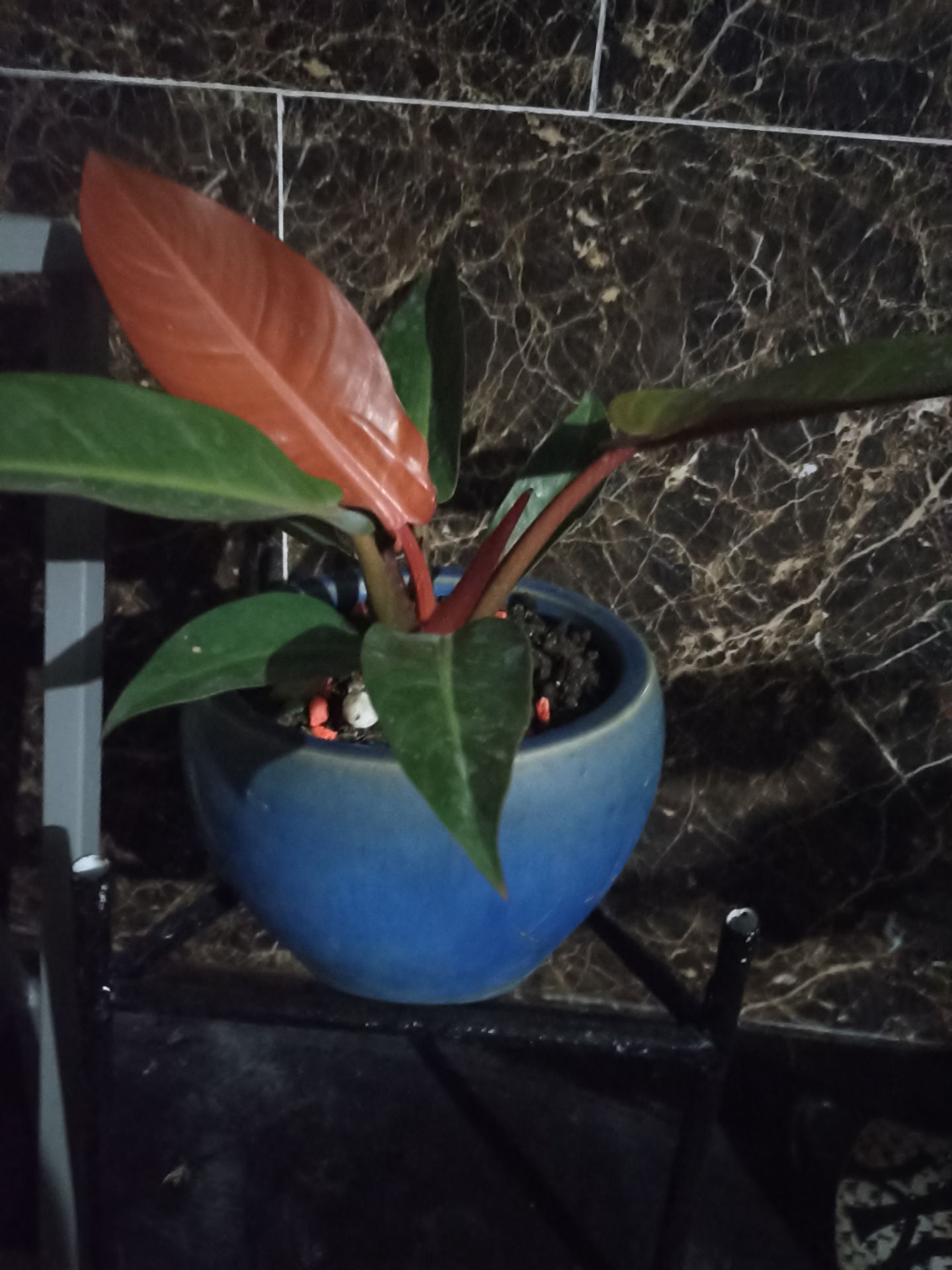 Rất hài lòng với shop nha👍