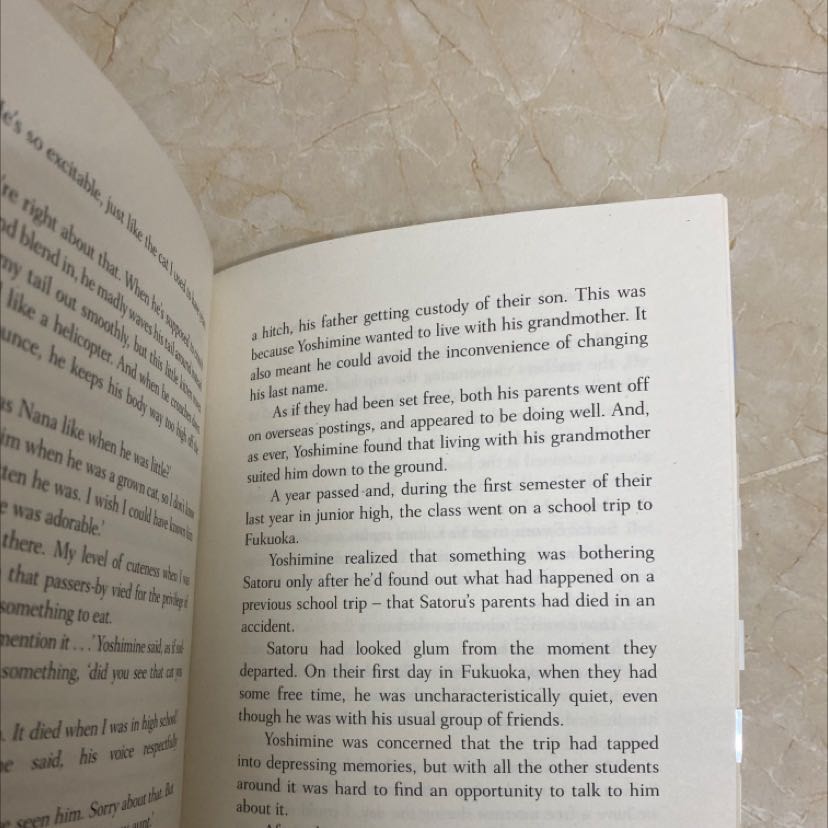 Sách đẹp, nội dung hay, cảm động lắm. 
Đọc mà khóc như mưa. Hoá ra đây chính là cuốn "Na na du ký".