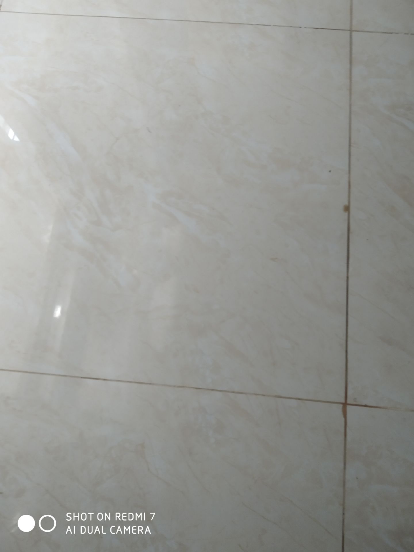 hình ảnh chỉ mang tính chất nhận xu.hàng tốt nhưng người Giao hàng có thái độ không tốt.Nếu các shop không cải thiện người Giao hàng lịch sự hơn thì sẽ bị bùn hàng dài dài!