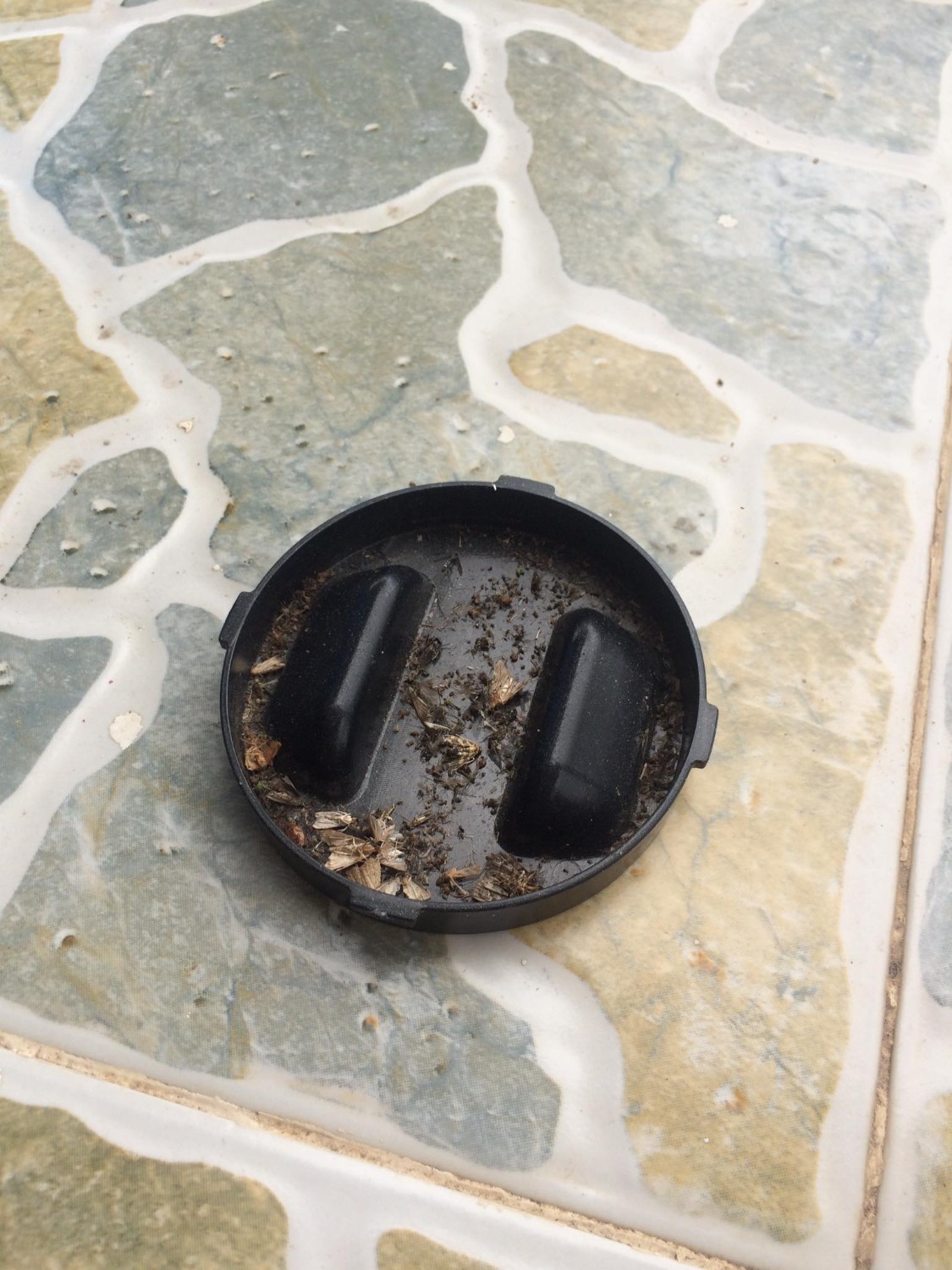 Cái kho chứa đồ nhiều muỗi lắm mà không biết làm sao,mình mua về treo cao 1,2 mét tắt hết điện, để mình cái đèn ở trỏng 3 ngày, sao mình lấy ra, trời bất ngờ thiệt luôn chớ, bữa đầu nó nổ liên hồi ngày sau nổ giảm đi bớt. 3 ngày mình mở ra thu hoạch nhiều thật., này là nhiều con nó quéo đi rồi chớ chắc nó hk quéo thì đẩy nắp, nay mang ra cho cá nhâm nhi.