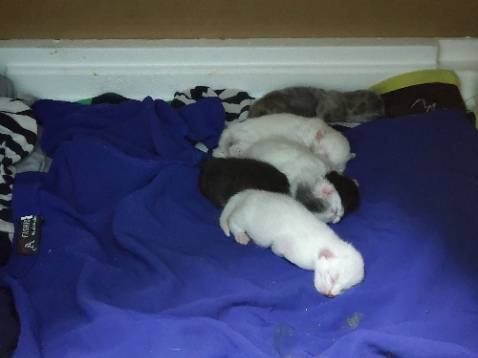 Đóng gói kỹ lưỡng , quấn thêm lớp màng co rất sạch sẽ.