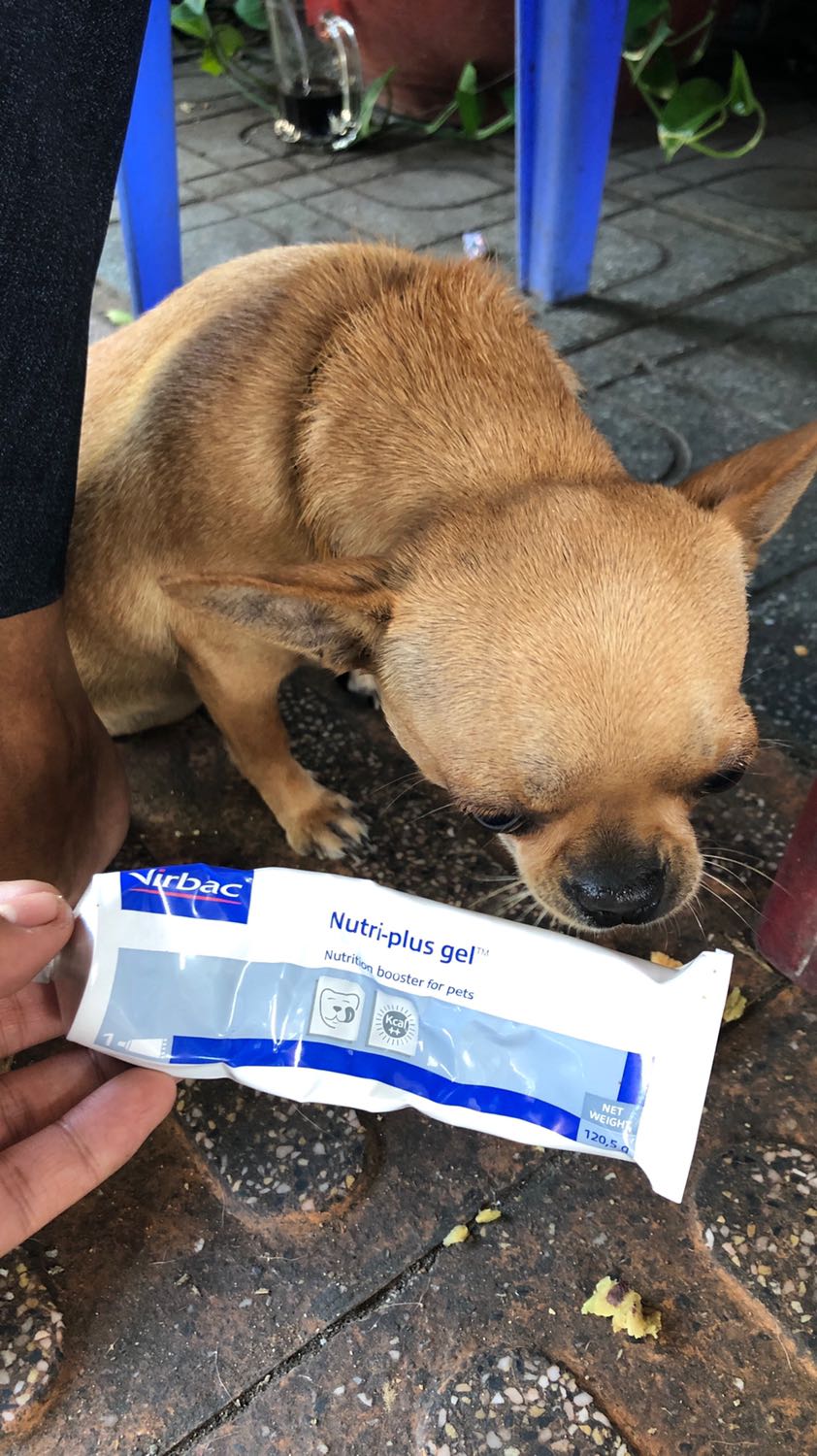 Cách giao hàng và làm việc của Tiki từ lúc nhận đơn hàng , cách đóng gói cho đến vận chuyển đều rất tuyệt vời ! Về sản phẩm thì quá OK , các em đều mê , ăn thấy khỏe ! Con nhỏ nhất nay cũng ú ì . Xứng đáng