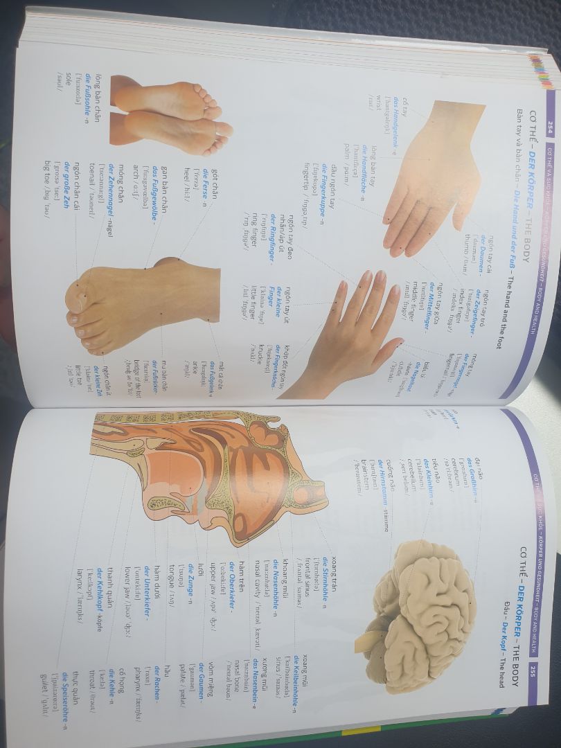 Nội dung xuất sắc, giấy hơi mỏng nhưng màu in đẹp. Bỏ ra tầm hơn 200k mà mua đc quyển này quá ngon vì sách từ vựng tiếng Đức mà có dịch nghĩa tiếng Việt rõ đẹp như này khá là hiếm.