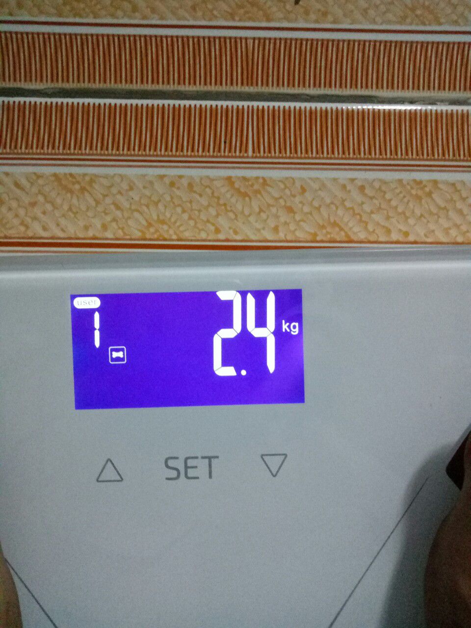 Mdadss6yẫu mã nhìn sang rất ưng con mắt và cân cũng chính xác nếu chịu khó cân cùng thời điểm mỗi ngày. vì ăn rồi cân nó khác.