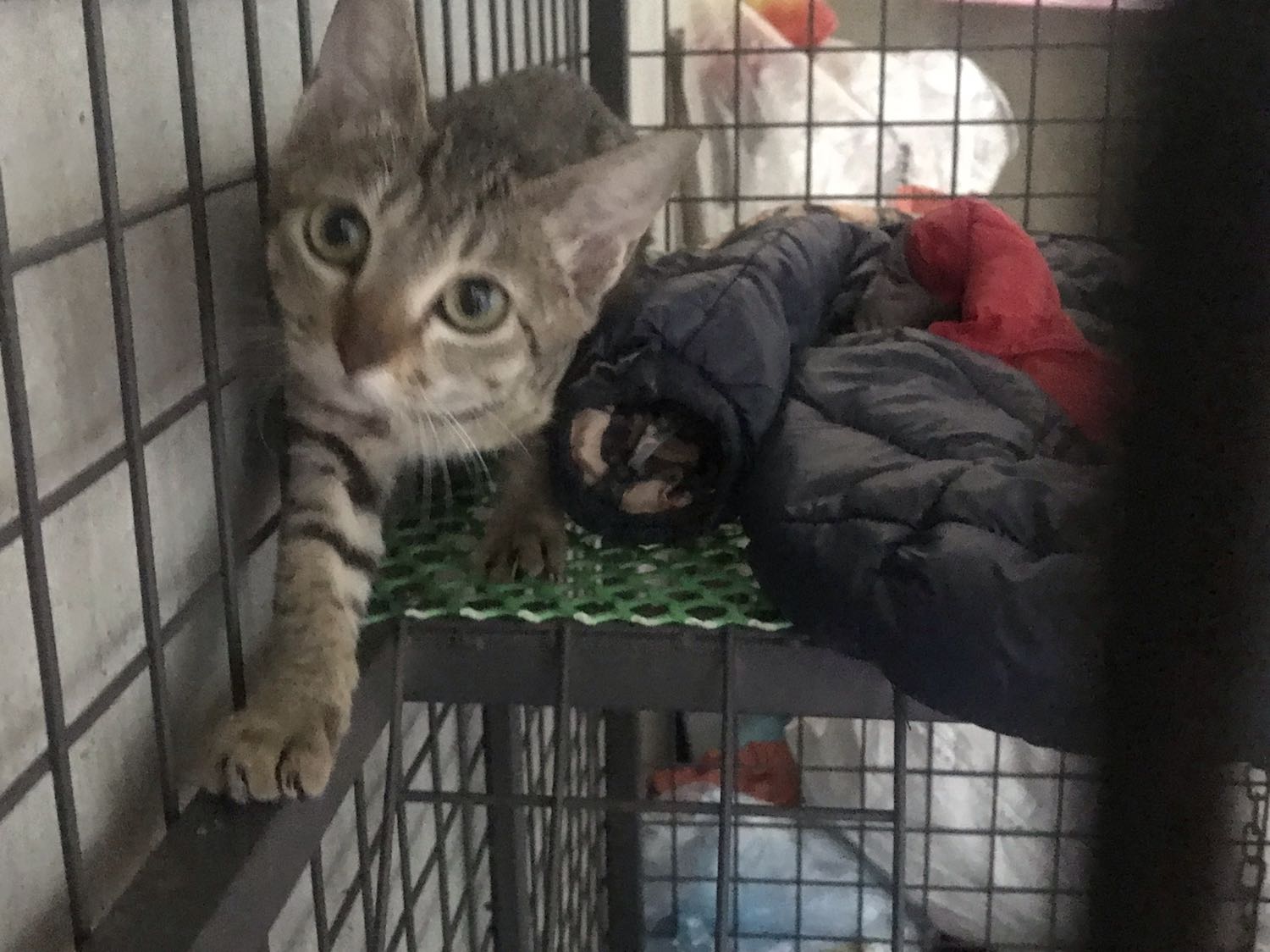 Hàng đẹp! Dùng mới biết có bền không.