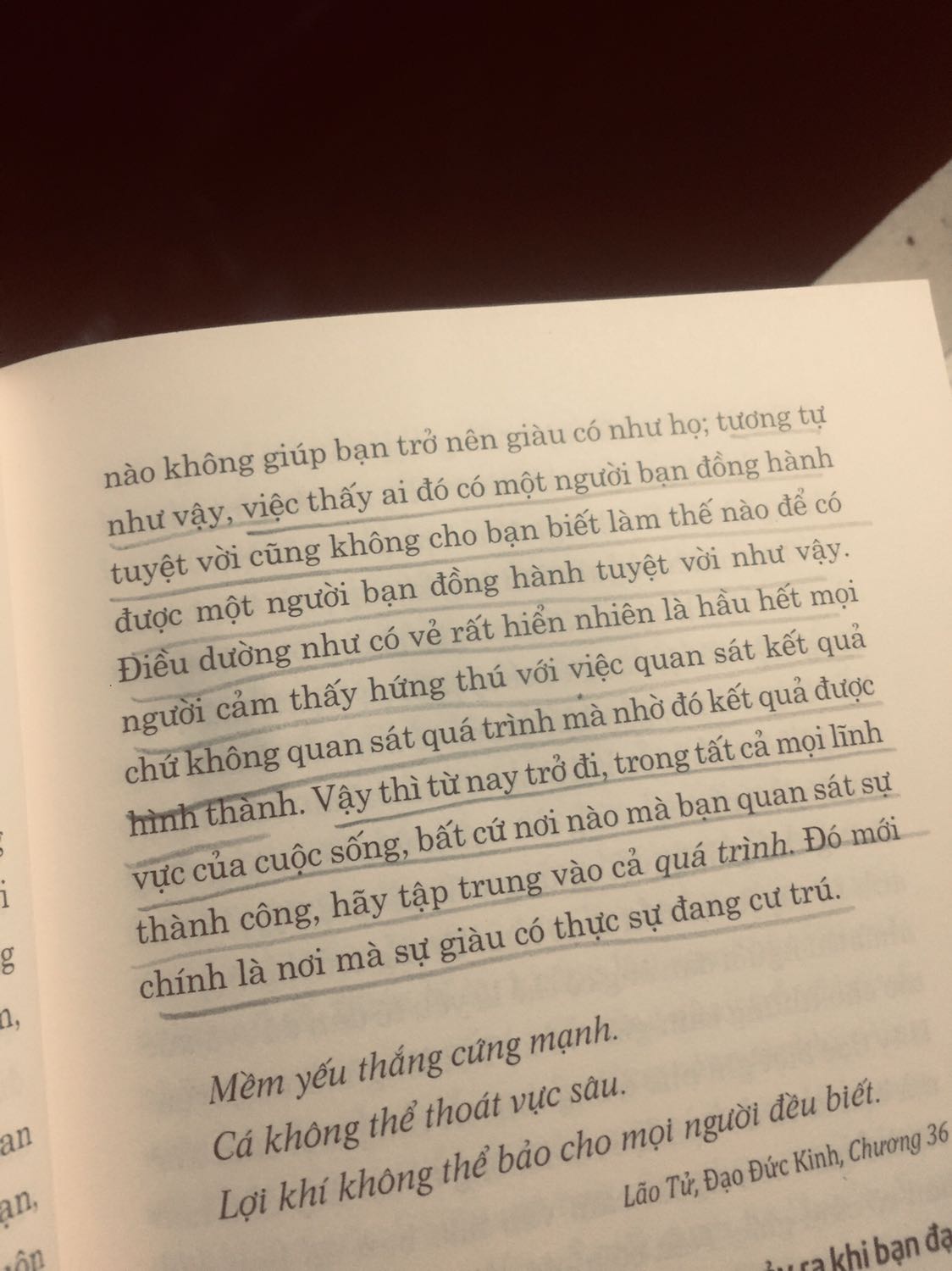 Những lời khuyên khôn ngoan, thực tế và nhẹ nhàng giúp những người đang chông chênh có thể tìm thấy sự mãn nguyện hài lòng.