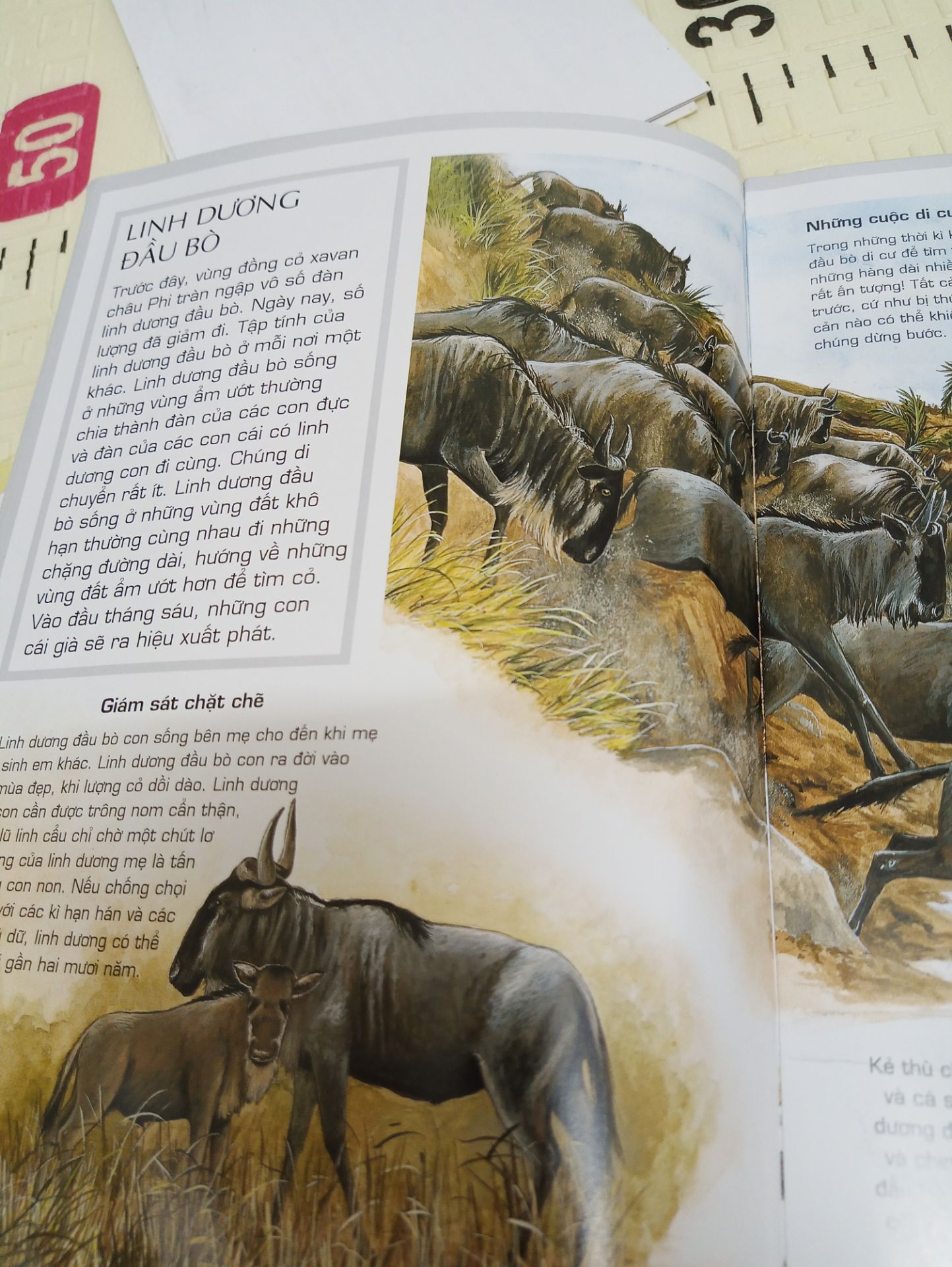 Sách rất thú vị.