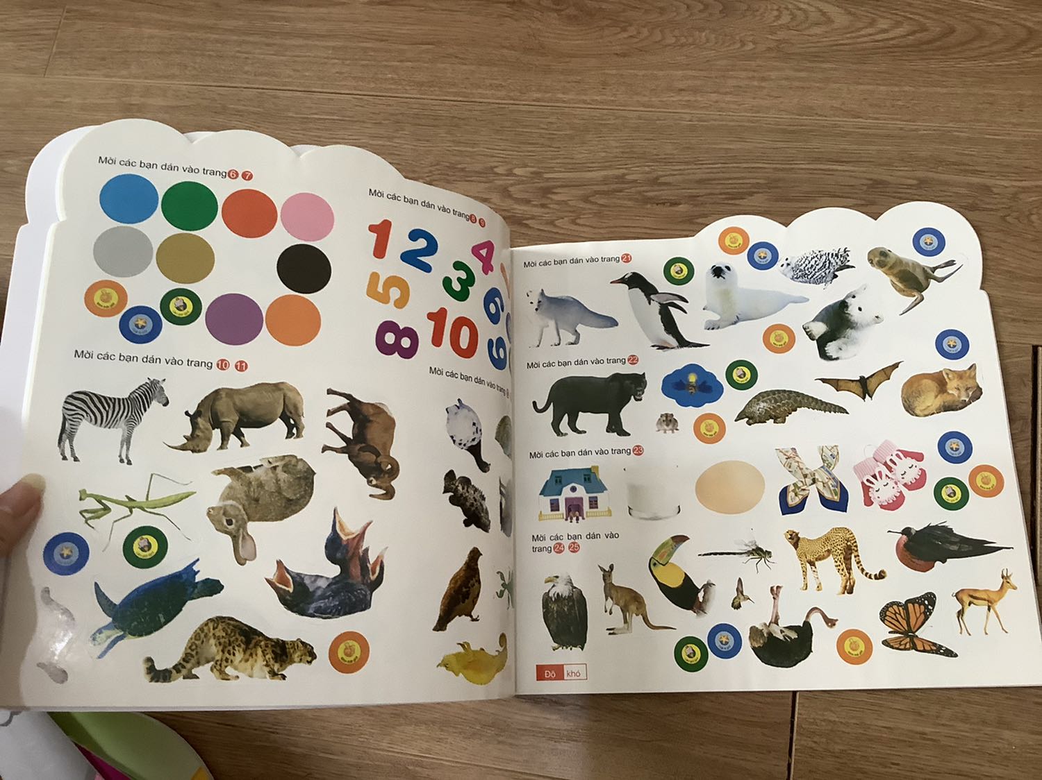 Săn đc sale giá rẻ , bé nhà mình rất thích