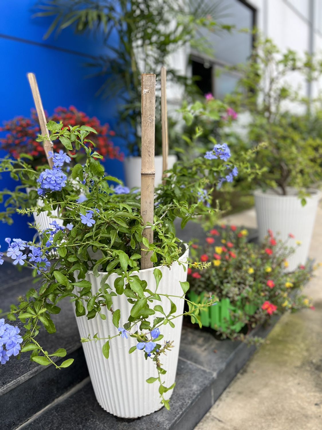 Hàng rất ok. Đóng gói cẩn thận.