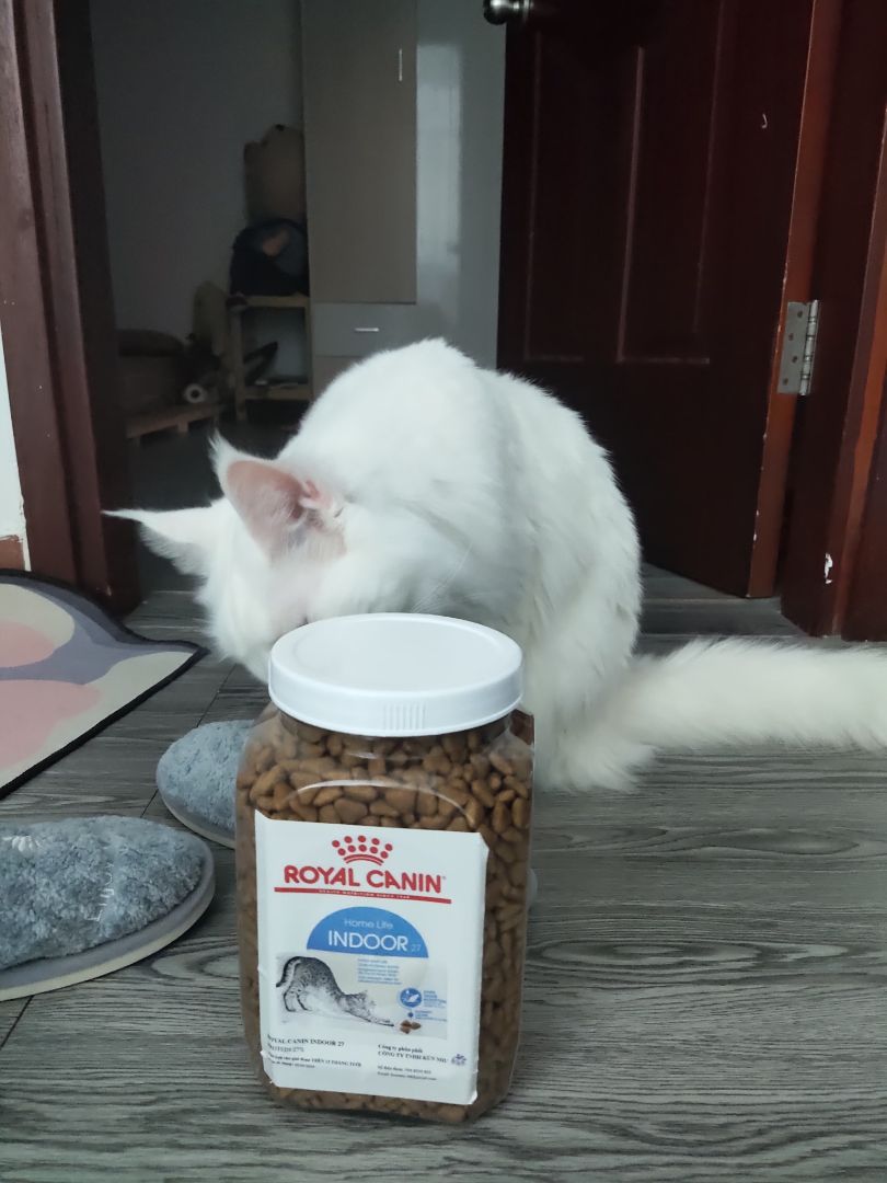 Giao hàng nhanh. Sản phẩm được đóng trong hộp chỉn chu, kp túi zip nữa, đỡ đc khoản lũ kiến nhòm ngó. Hạt thì siêu chất lượng r, cơ mà ko cảm thấy thơm lắm. Bé nhà mình ăn ngon. Giao hàng nhanh. Sản phẩm được đóng trong hộp chỉn chu, kp túi zip nữa, đỡ đc khoản lũ kiến nhòm ngó. Hạt thì siêu chất lượng r, cơ mà ko cảm thấy thơm lắm. Bé nhà mình ăn ngon.