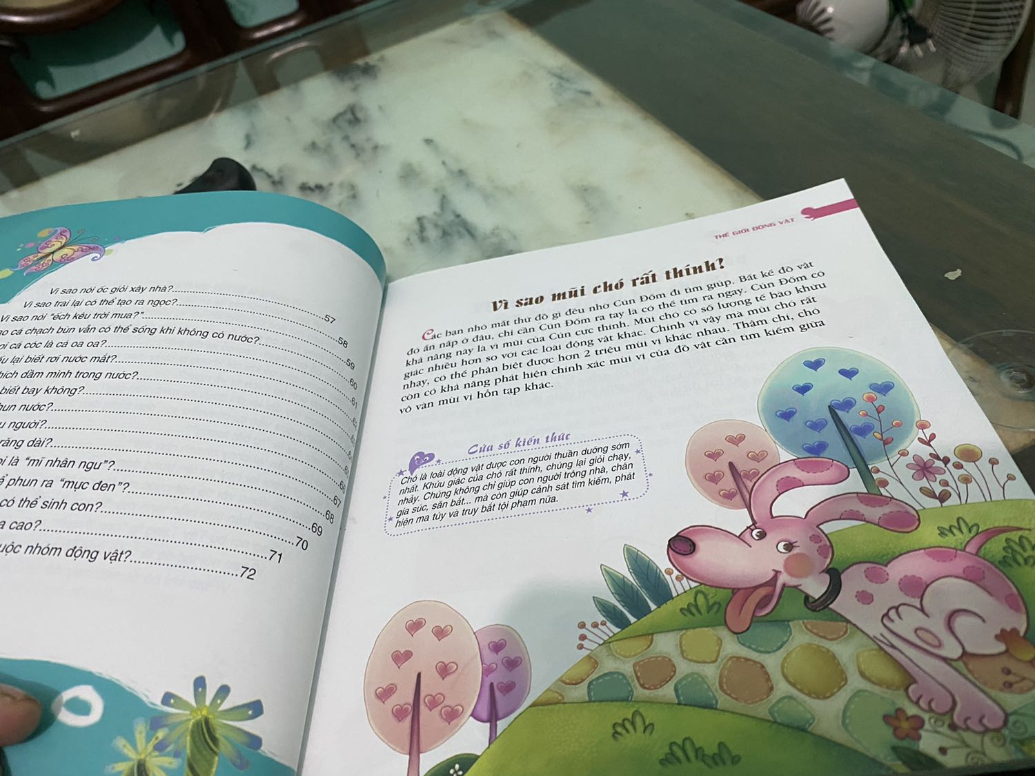 Bộ sách khổ lớn, được bọc rất cẩn thận, in màu 100% rất đẹp, nội dung cung cấp được những thông tin rất hữu ích cho các bé xoay xung quanh cuộc sống. Mong là sẽ có nhiều bộ sách thế này, giúp các bé hạn chế với điện thoại, tivi.
(Đợt này Tiki giao hàng chậm, hộp nát bét, may sách không bị hỏng)