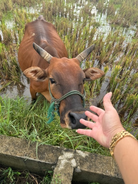 Sản phẩm chắc chắn,hàng nguyên đai nguyên kiện do Trung Quốc sản xuất vẫn cái tầm hơn hẳn vn,rất hài lòng cảm ơn shop