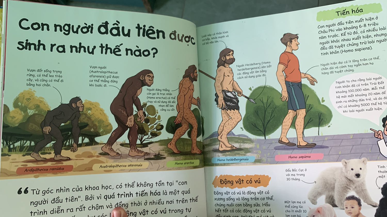 Cám ơn Tiki trước, vì luôn mang đến cho mình cảm giác thích thú khi nhận hàng.

Về sách:
- mình rất thích cuốn này, mua cho đứa cháu để đọc. Sách được đầu tư, giấy chất lượng, màu sắc tương phản.
- Nội dung: nội dung hấp dẫn, nhiều điều thú vị kể cả với người lớn. Tuy nhiên có những nội dung về "Vụ nổ Bigbang" hay "Thuyết tiến hoá loài người" thì mình nghĩ bên nhà xuất bản cần đính chính lại.
Vì cả 2 thuyết này đều là giả định chưa có cơ sở khoa học nào chứng minh điều đó. Hơn thế nữa, càng ngày có nhiều phát hiện lịch sử cho thấy rằng những thuyết này không còn thuyết phục.

Kết luận lại, đây vẫn là cuốn sách vẫn đáng giá tiền và giá trị về kiến thức.