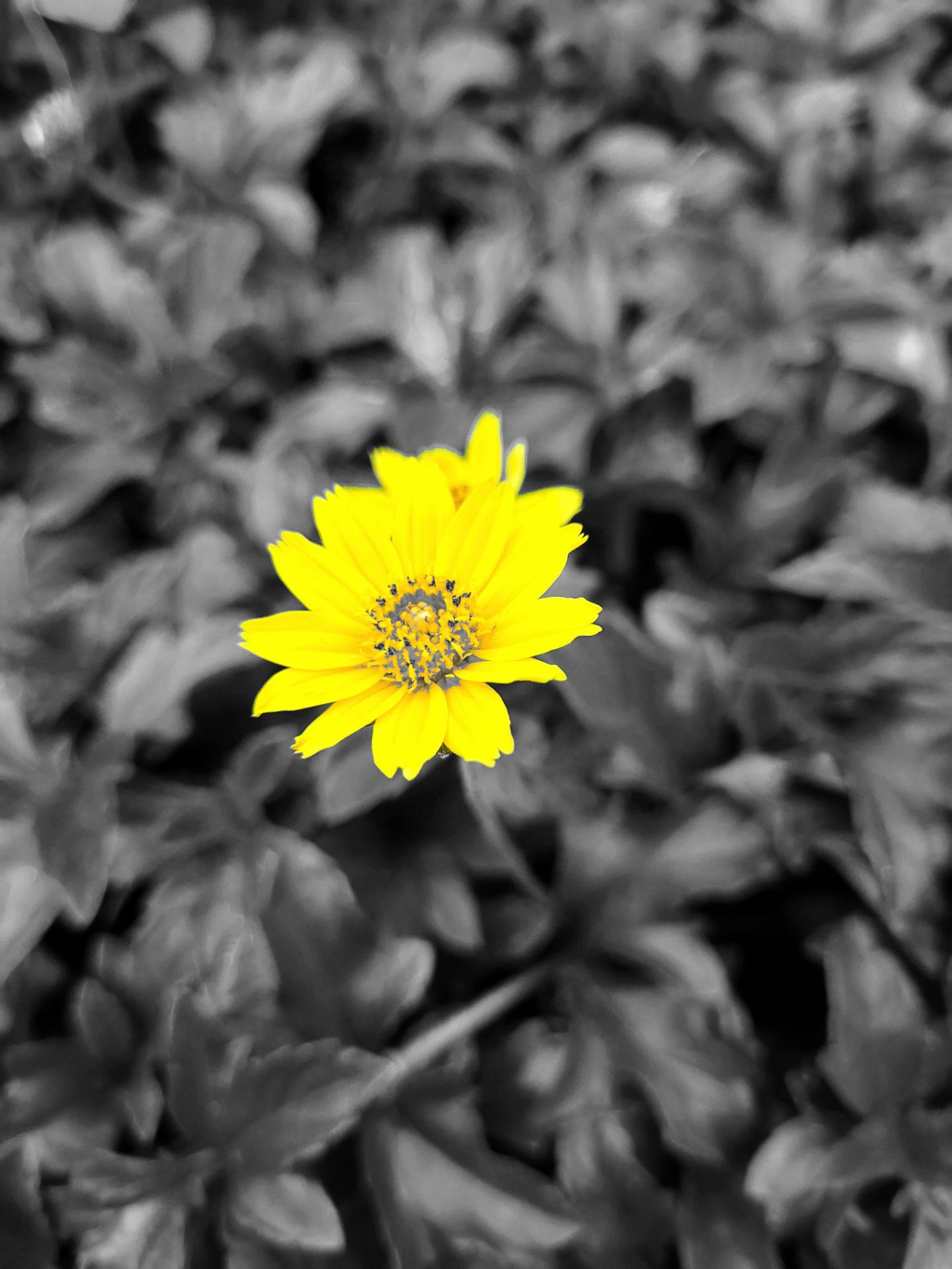 Hàng chất lượng, sản phẩm dùng tốt. Ủng hộ Shop 👍