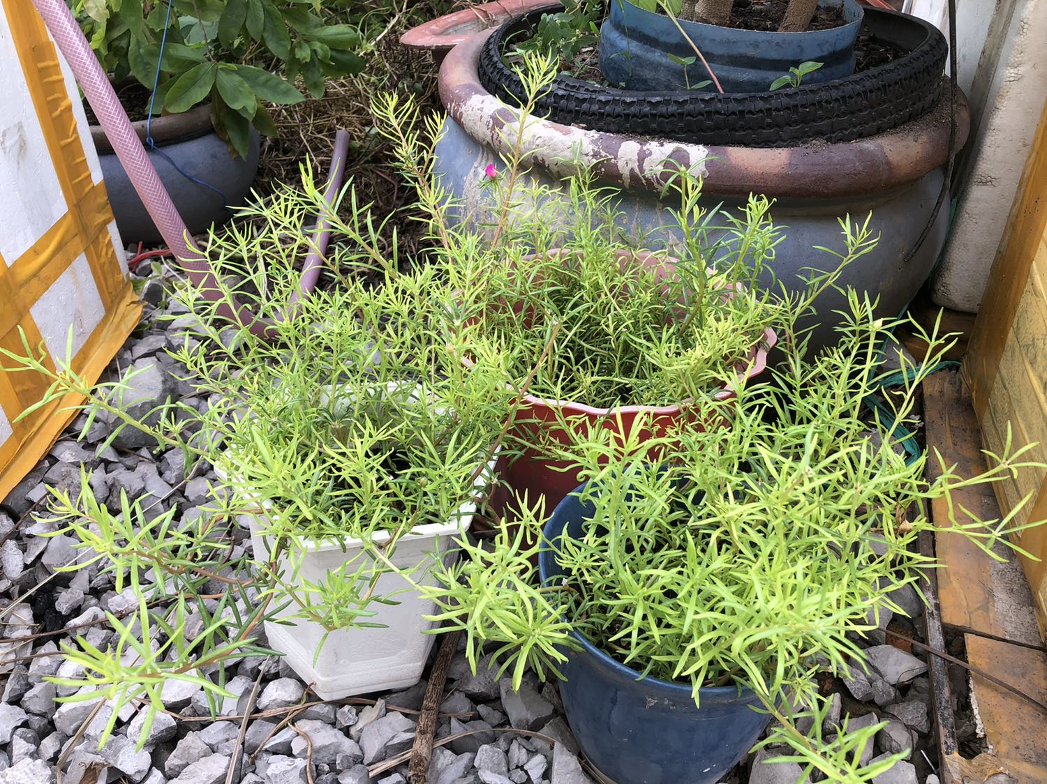 Đóng gói cẩn thận. Giao hàng nhanh. Nhân viên giao hàng nhiệt tình.