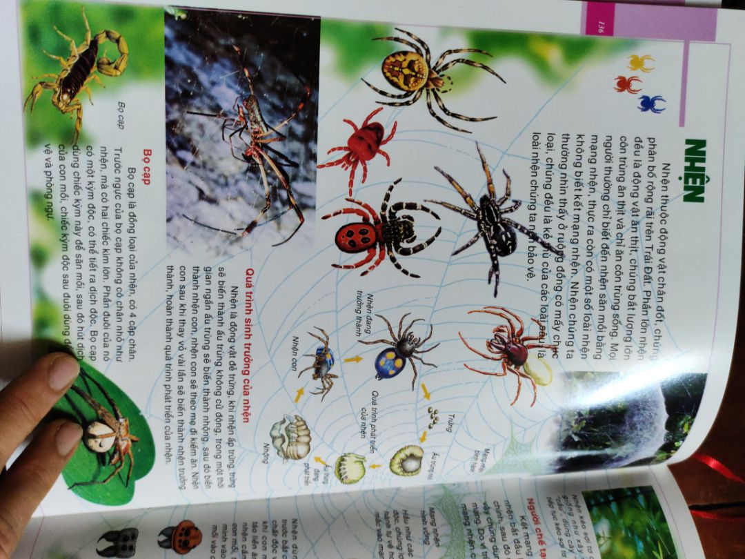 Sách quá đẹp, nhiều chủ đề thú vị