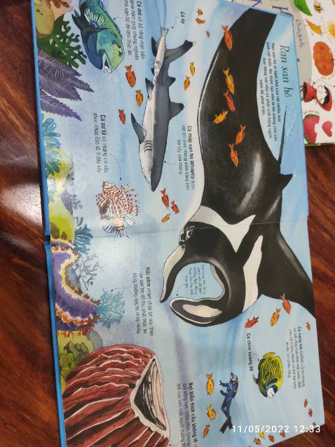 Sách cho bé rất thích hình vẽ đẹp giấy dày giao hàng nhanh thanks shop