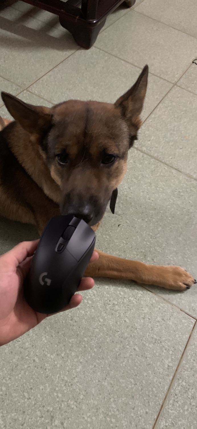 Chuột sài khá nhạy. Đẹp và rất chi là vừa tay chắc chắn êm ái đúng với giá tiền Chuột sài khá nhạy. Đẹp và rất chi là vừa tay chắc chắn êm ái đúng với giá tiền