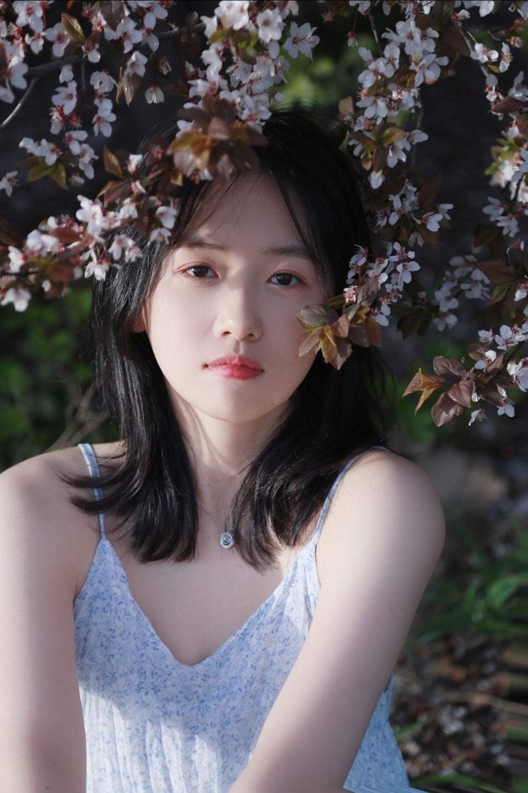 Tuyệt vời như ảnh :)