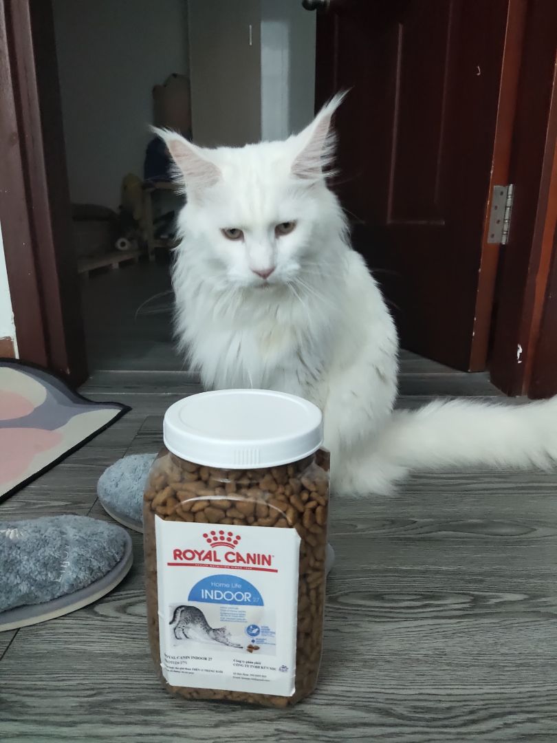 Giao hàng nhanh. Sản phẩm được đóng trong hộp chỉn chu, kp túi zip nữa, đỡ đc khoản lũ kiến nhòm ngó. Hạt thì siêu chất lượng r, cơ mà ko cảm thấy thơm lắm. Bé nhà mình ăn ngon. Giao hàng nhanh. Sản phẩm được đóng trong hộp chỉn chu, kp túi zip nữa, đỡ đc khoản lũ kiến nhòm ngó. Hạt thì siêu chất lượng r, cơ mà ko cảm thấy thơm lắm. Bé nhà mình ăn ngon.