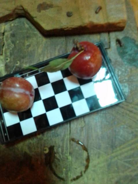 Hàng nhựa ba via tum lùm. Hcjjfkjcnnfkjcnncmmcmnncnmcjmcmmckfkktjfjgjj