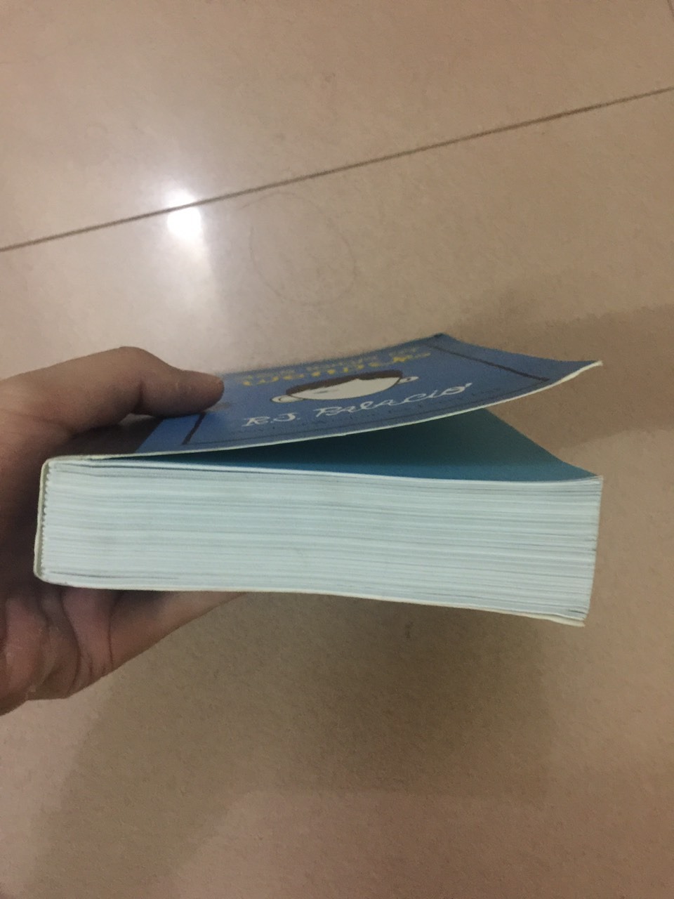 Mình nhận được cuốn sách mà như là qua tay mấy người đọc rồi, hàng cũ quá trời. Góc sách thì quăn, sách như là bị lật ra đọc rồi vậy!! :((((((((((((((((((((((. Bực mình lắm luôn ý.