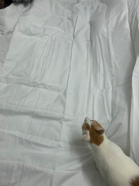 Ko bị hầm nóng, tuy nhiên thiết kế ko đc đẹp lắm