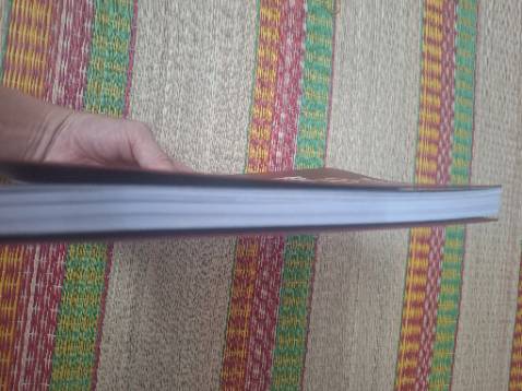 Một cuốn sách tuyệt vời cho các đầu bếp và những người yêu bánh Pizza. Cuốn sách của đầu bếp người Mỹ Ken Forkish, cũng là tác giả của cuốn sách nổi tiếng Bột nước muối men. Gần như toàn bộ những thông tin cần biết về Pizza, từ các kiểu pizza, cách chọn nguyên liệu đến cách làm các loại bánh pizza đều có trong cuốn sách này. Sách được in trên giấy bóng nhìn rất đẹp, sạch và sang. 1 cuốn sách rất tuyệt vời