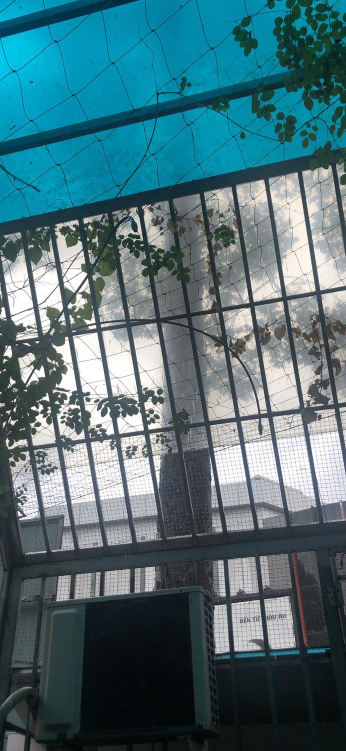 Sản phẩm đóng gói rất cẩn thận, đá nhìn cảm quan thấy màu sáng, inox sáng bóng, chưa dùng thử ko biết lạnh lâu ko????!!!