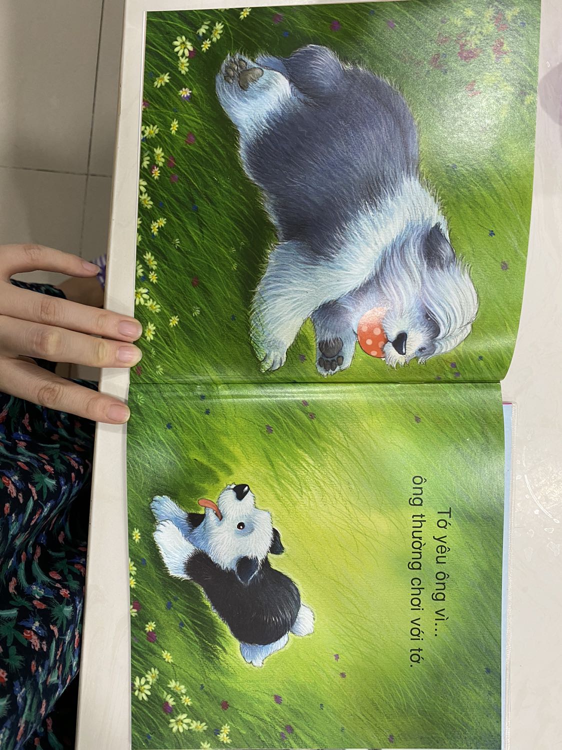 Tranh đẹp, đơn giản. Phù hợp cho các bé dưới 3t