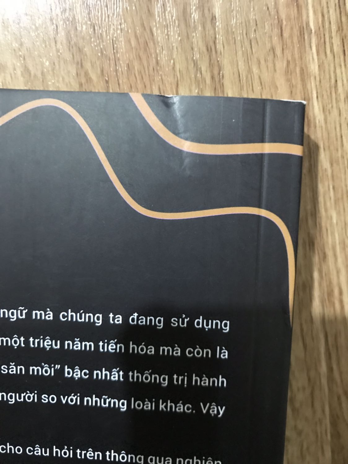 Mới nhận được sách, chưa kịp đọc và lại phải chê khâu đóng gói của tiki. Không seal, không lót gì cả, sách móp méo khi đến tay người đọc.