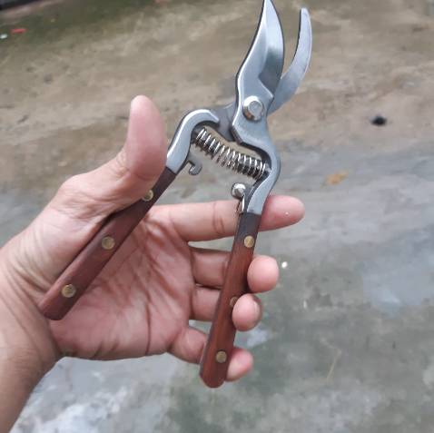 Ok
Xịn sò
Bến lắm àh
Chắc chắn 
Quá rẻ
Hôm trước mua ngoài 350k mà kg bằng hàng này 
Shop ok
Tốt