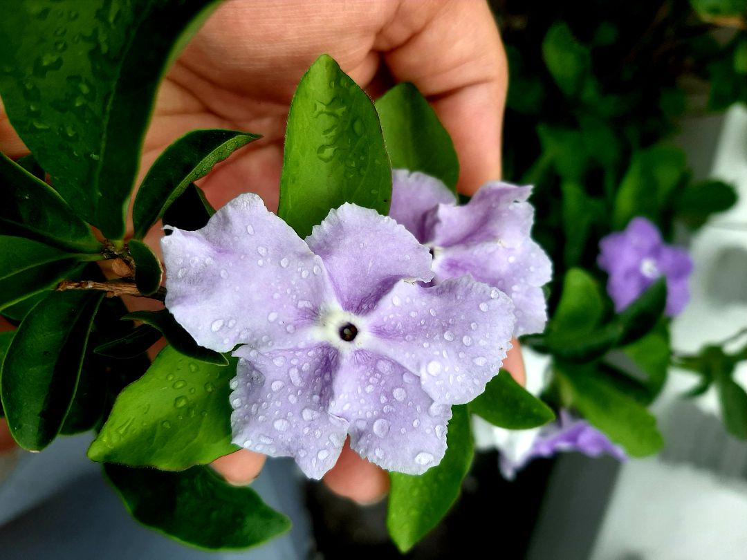 sách chất lượng