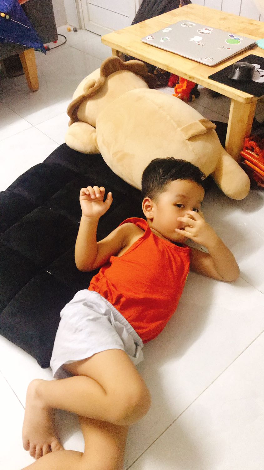 Dày dặn, êm, dễ dùng. Có thể ngả ra làm một tấm thảm nhỏ để nằm :) có điều sợi bông xuyên qua lớp nhung màu đen nên nhìn khá rõ và ko thẩm mỹ lắm. Tóm lại là hài lòng.